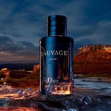 dior sauvage cena dm|dior sauvage 200ml price.